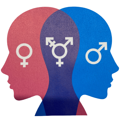 image représentant les genres